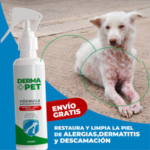 🔥 OFERTA 50% DE DESCUENTO DERMAPET 250ML + ENVIO GRATIS